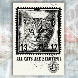 ALL CATS ARE BEAUTIFUL